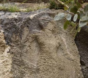 نقش برجسته ۴ هزار ساله در ثلاث‌ باباجانی کشف شد