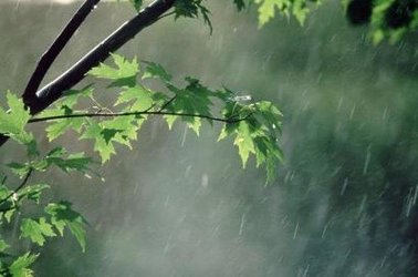 بارش باران تا روز چهارشنبه در استان ادامه می یابد/کاهش ۷درجه ای دمای هوا