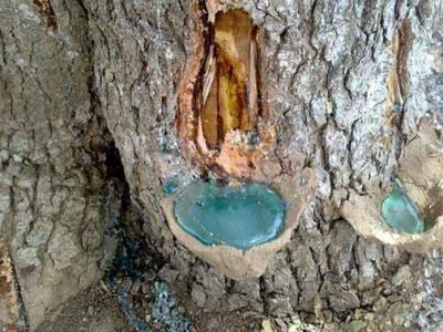 75914709622891151522