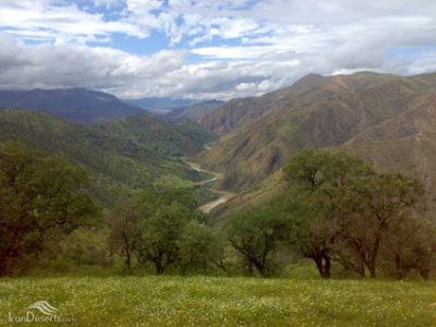 p19em1dddj1gu615p6ut4183nbps9