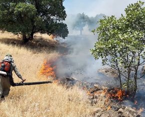 آتش سوزی مرخیل