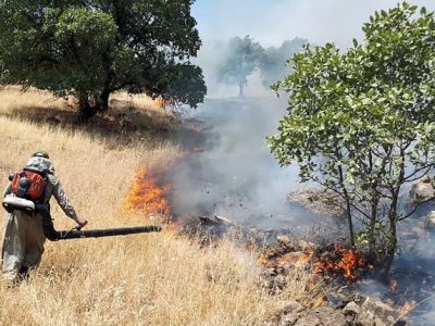 آتش سوزی مرخیل