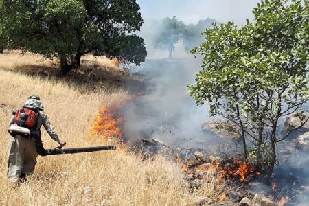 آتش سوزی مرخیل