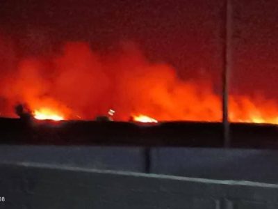 آتش سوزی مزارع گندم روانسر