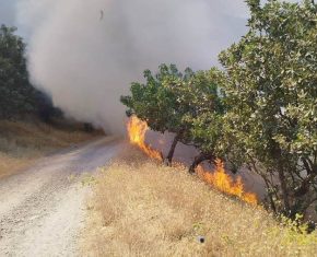 آتشسوزی منطقه حفاظتشده بوزین و مرخیل باینگان مهار شد