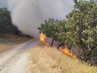 آتشسوزی منطقه حفاظتشده بوزین و مرخیل باینگان مهار شد
