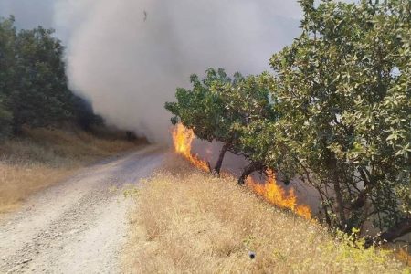 آتشسوزی منطقه حفاظتشده بوزین و مرخیل باینگان مهار شد