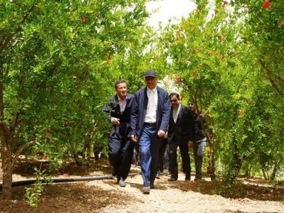 بازدید استاندار از انارستانهای پاوه