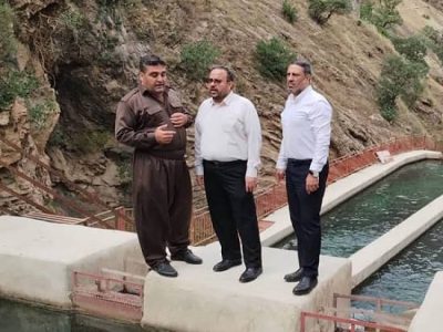 بازدید سازمان شیلات از دشه