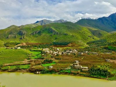 باغات اورامانات