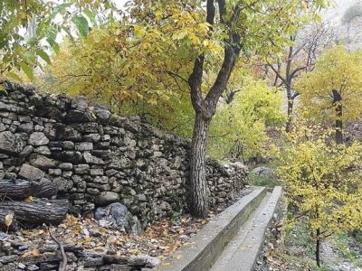 باغات نوسود