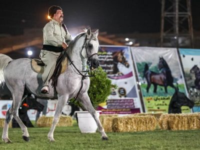 جشنواره اسب کرد