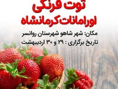 جشنواره توت فرنگی شهر شاهو