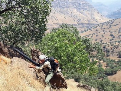 جنگل بوزین و مرخیل