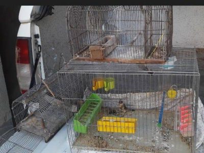 دستگیری 3 اکیپ شکارچی غیرمجاز در شهرستان روانسر