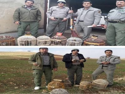 دستگیری شکارچی کبک در روانسر