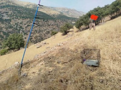 دستگیری صیاد متخلف سهره طلایی در پاوه