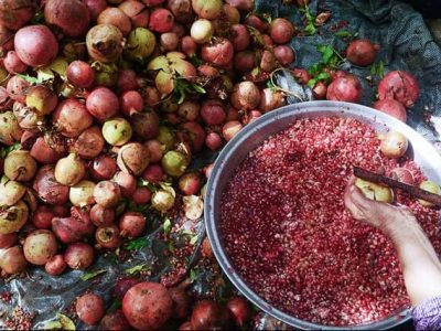 رب-انار-پاوه-1