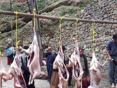 شکرگزاری نزولات آسمانی در روستای شرکان پاوه