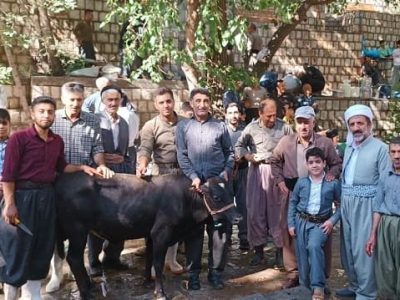 عید قربان باینگان