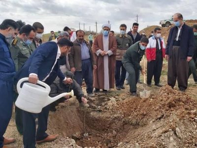 غرس نهال در جوانرود