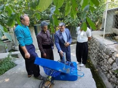 مزارع پرورش ماهی پاوه