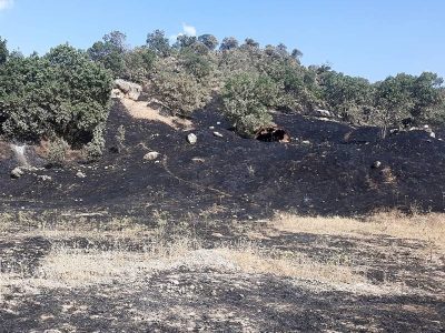 منطقه حفاظت شده بوزین و مرخیل