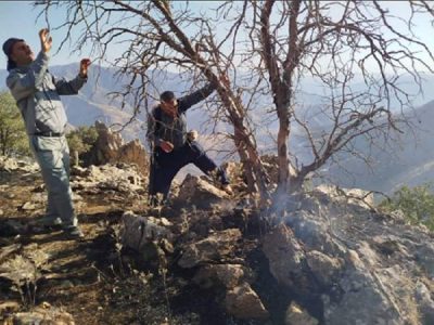 مهار آتش سوزی ارتفاعات منطقه لهون در شهرستان پاوه