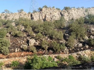 مهار آتش سوزی منطقه قوری قلعه روانسر