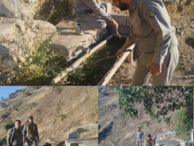 پاکسازی آبشخورهای شهرستان پاوه