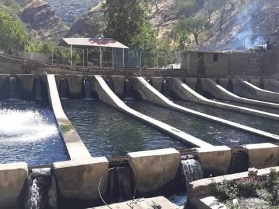 پرور ماهی پاوه