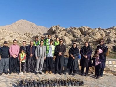 کاشت 120 اصله نهال بلوط در شهرستان روانسر