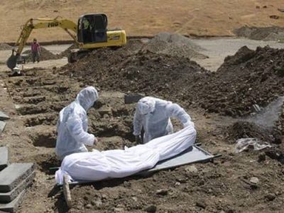 کرونا در پاوه