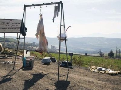 کشتارهای غیرمجاز دام اورامانات