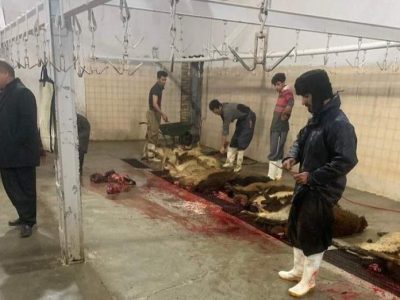 کشتارگاه پاوه