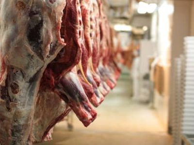 کشتارگاه پچاوه