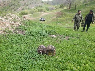 کشف و ضبط 6 فرد کبک وحشی از متخلفین شکار و صید در پاوه
