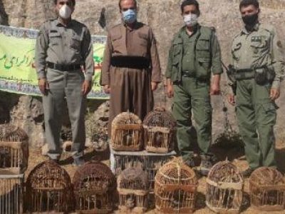 کشف و ضبط کبک وحشی در روانسر