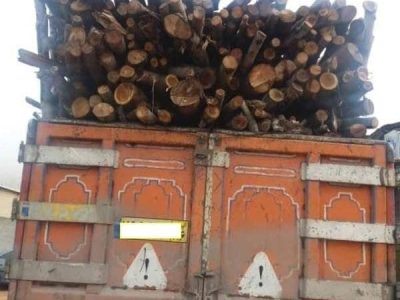 کشف چوب قاچاق