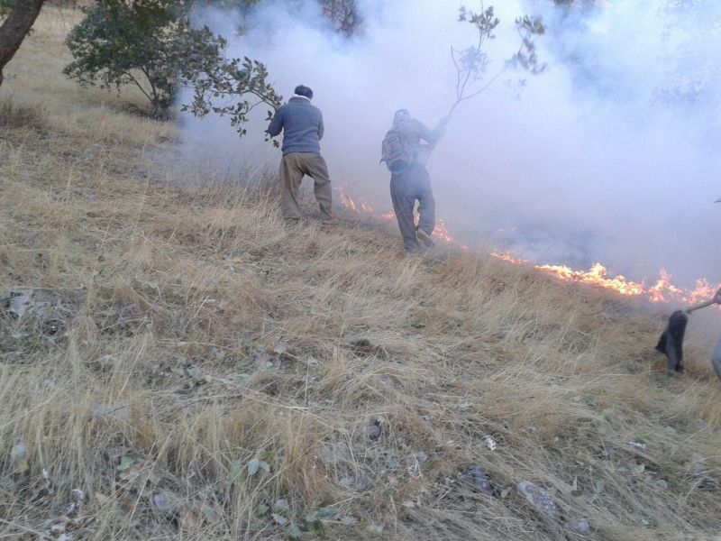 مهار آتش سوزی در منطقه بوزین و مرخیل باینگان