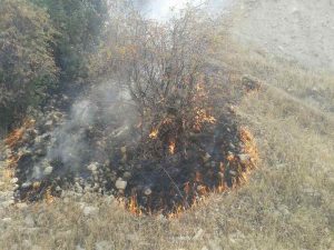 آتش سوزی در مراتع تحت حفاظت بوزین و مرخیل مهار شد