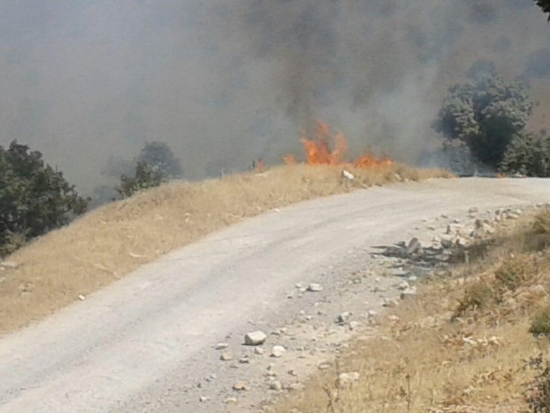 مهار آتش سوزی در منطقه بوزین و مرخیل بخش باینگان