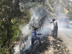مهار آتش سوزی در باغات باینگان