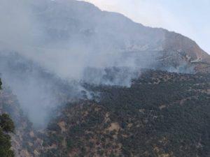 آتش‌سوزی در منطقه حفاظت شده بوزین و مرخیل باینگان مهار شد