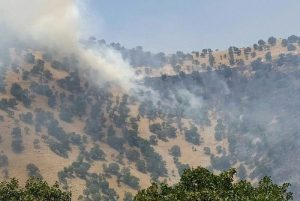 مهار آتش سوزی در منطقه بوزین و مرخیل باینگان