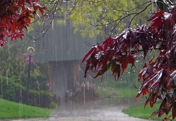 بیشترین بارش باران در نودشه به میزان هشت میلی‌متر