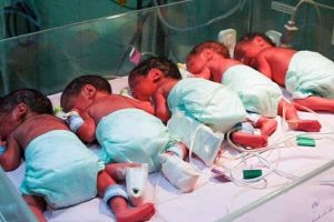 رشد ۱۲ درصدی آمار ولادت از ابتدای سال جاری در پاوه
