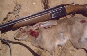  دستگیری ۲ نفر شکارچی غیرمجاز در شهرستان روانسر
