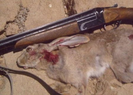  دستگیری ۲ نفر شکارچی غیرمجاز در شهرستان روانسر