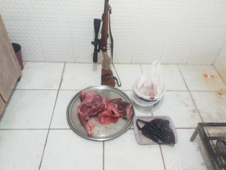 دستگیری دو شکارچی غیر مجاز کل وحشی در باینگان